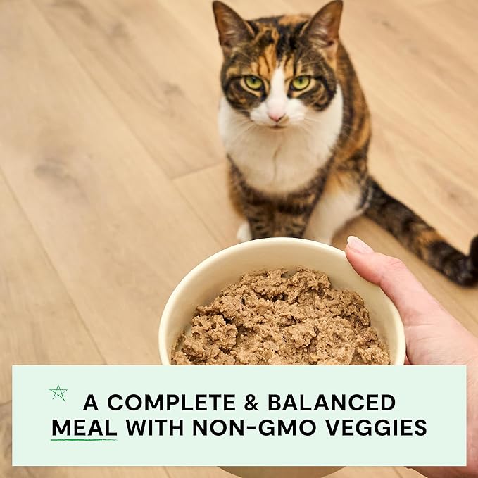 Open Farm Canned Cat Food, Paté for Complete & Balanced Nutrition, Grain-Free and Legume-Free Wet Cat Food, Homestead Turkey Recipe, 2.8oz Cans (Case of 18)