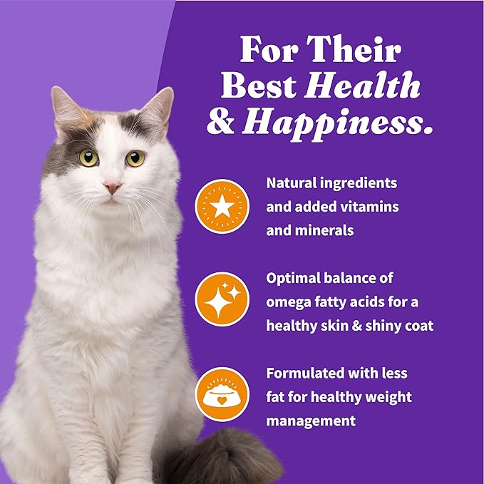 Halo Holistic Cage Free Chicken Cat Food, Grain Free Dry Cat Food, For Healthy Weight Support, Kibble for Indoor Cats, 6 lb Bag