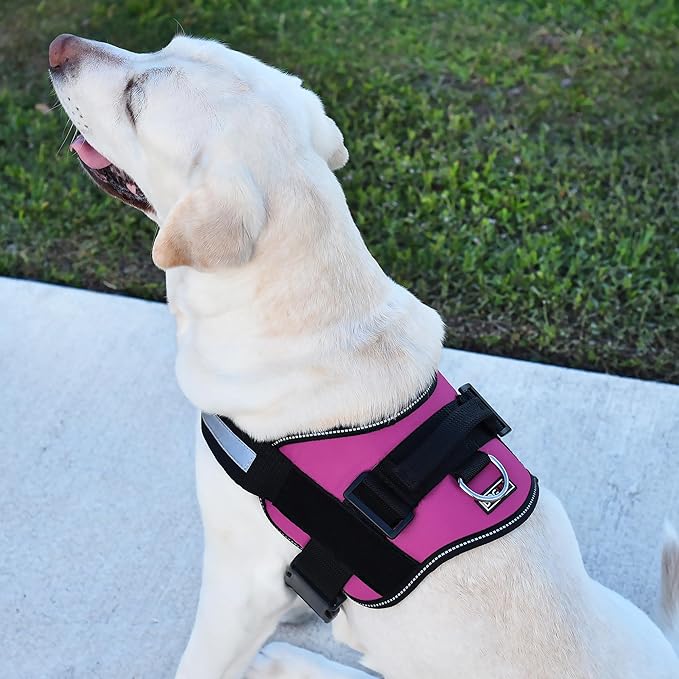 Dogline Dog Harness, Reflective No-Pull Adjustable Vest with Handle for Walking, Training, Breathable, No - Choke Harness for Small, Medium or Large Dogs Room for Patches Girth 33"-46" in Pink