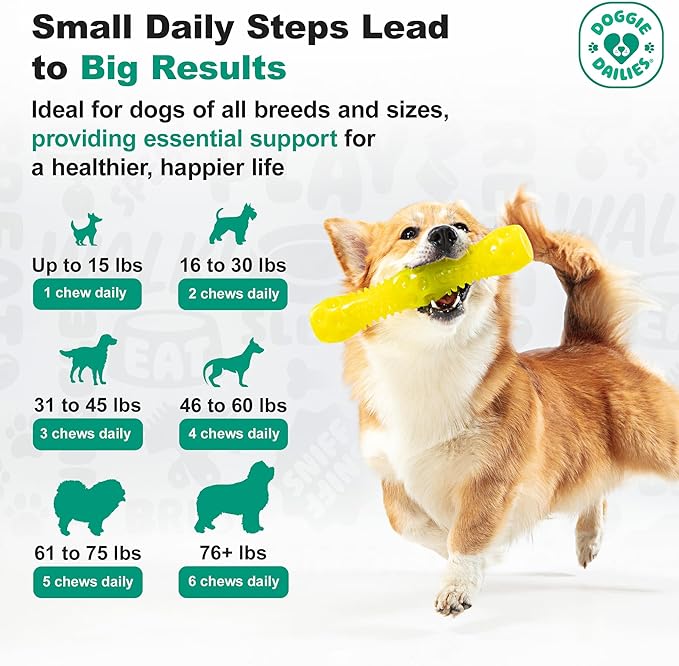 Doggie Dailies Probiotics for Dogs - Advanced Dog Probiotics with Prebiotics - Promotes Digestive Health - Supports Immune System and Overall Health (Pumpkin) 225 Soft Chews