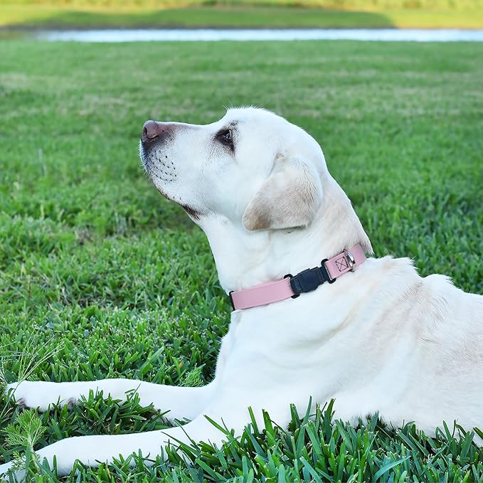 Dogline Biothane Waterproof Dog Collar with Herm Sprenger Black Stainless Steel Quick Release Buckle – Heavy Duty Tactical Durable Collar for Dogs – Comfortable and Safe Pet Collar, W 3/4" L 12-19"