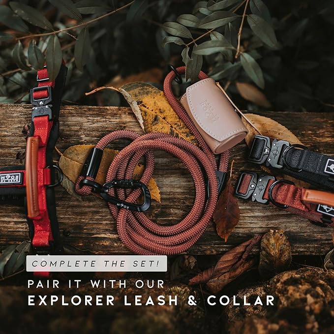 MADE TO ROAM Premium Explorer Harness - Y-Shaped Dog Harness with Adjustable Durable Nylon, Soft Padding, Metal Buckles and Leather Handle for Small, Medium, Large Dogs (California Horizon, Size 7)