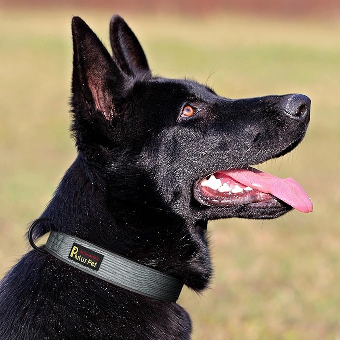Plutus Pet Tactical Dog Collar, Reflective, Adjustable Heavy Duty Dog Collar, Soft Padded and Comfortable, for Small Medium and Large Dogs (Gray, M)