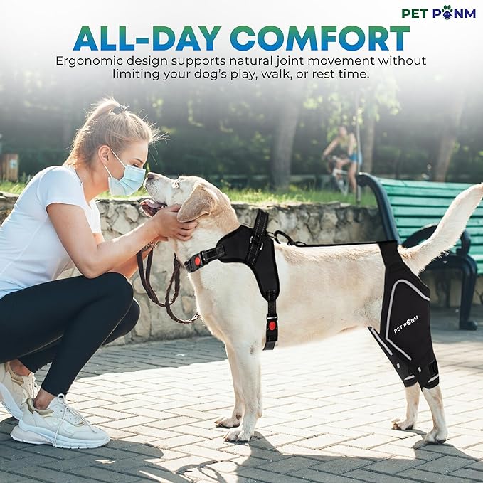 Petpanm- Adjustable Dog Knee Brace- Right Hind Leg with Integreted Harness- Premium Support for Torn ACL, Sprains & Strains Recovery, Enhances Mobility, Comfortable Neoprene - (XLarge).