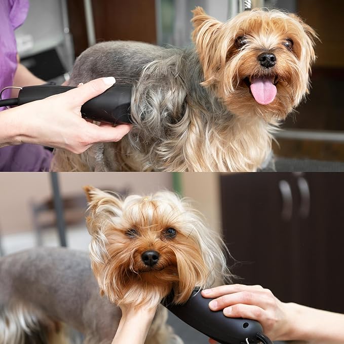 Detachable A Series 5f Blade Dog Grooming Cuts Length 1/4" - 6.4mm Japanese High Carbon Steel 6.4 mm Clipper Blade 5f | Detachable Blade Clippers (Compatible A5 Series(B5F)