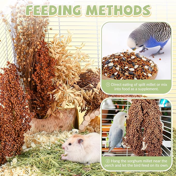 Fhiny Millet Spray for Birds, 3 PCS Natural Sun-Dried Red Sorghum Grain for Birds Seed Original Parrot Treats & Supplement Parakeet Food for Cockatiels Lovebirds Finches Budgies Pigeons Hamsters