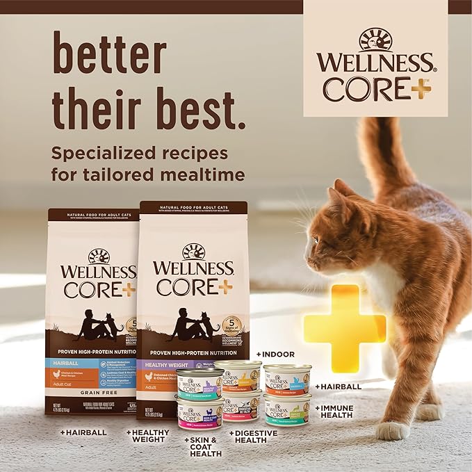 Wellness CORE+ Skin & Coat Pate Adult Wet Cat Food, Natural, Protein-Rich, Grain Free, 2.8 Ounce, 12 Pack (Duck & Chicken)