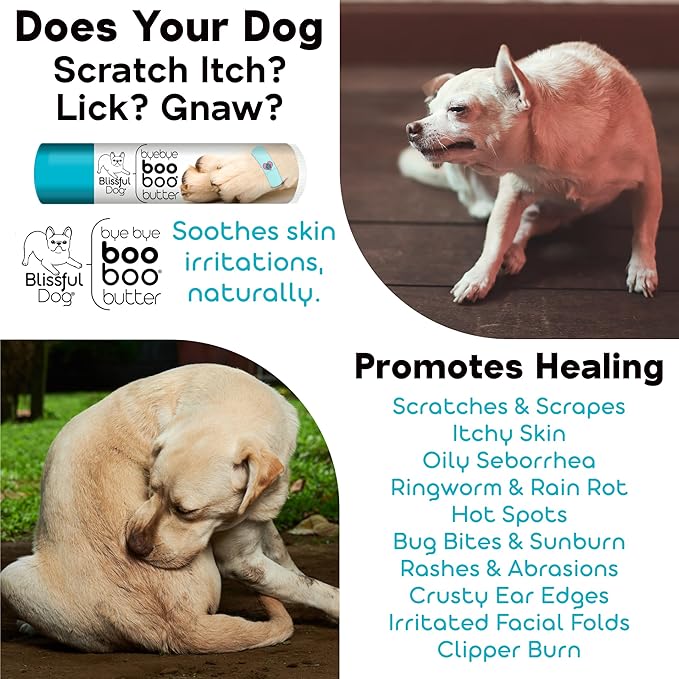 The Blissful Dog 1 oz TIN Newfoundland Booboo Butter