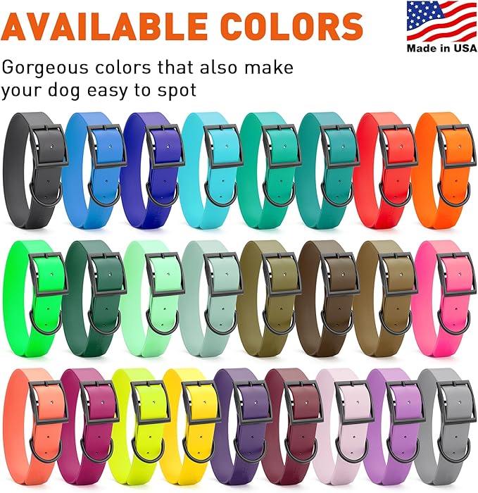 Dogline Biothane Waterproof Dog Collar Strong Coated Nylon Webbing with Black Hardware Odor- Proof for Easy Care Easy to Clean High Performance Fits Small Medium or Large Dogs, Lemon Yellow