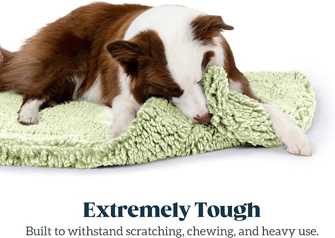 Stoutwool Indestructible Dog Bed - Fluffy Chew Proof Dog Crate Pad - Tough Kennel Pad for Aggressive Chewers - Washable, Ideal for Toy Breeds & Fits 18-Inch Crate - 17"x11", Gleam