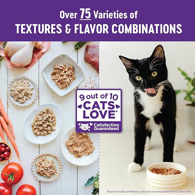 Wellness Healthly Indulgence Morsels Adult Wet Cat Food, Natural, Protein-Rich, Grain Free, 3 Ounce Pouch, 24 Pack, (Salmon & Tuna)