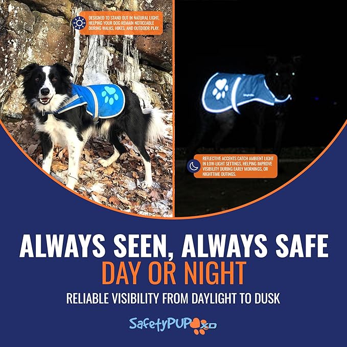Dog Reflective Vest – Hi-Vis Fluorescent Visibility That Helps to Safeguard Your Pet On/Off Leash in Urban & Rural Areas (Blue, Medium)