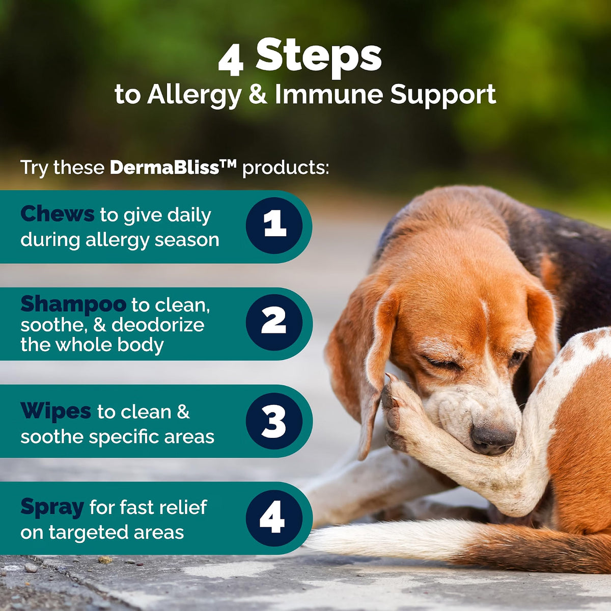 Vetnique Dermabliss Anti Itch Spray for Dogs & Cats with Hydrocortisone for Allergies and Immediate Dog Itching Skin Relief - Fragrance Free with Soothing Oat Extract (4oz)