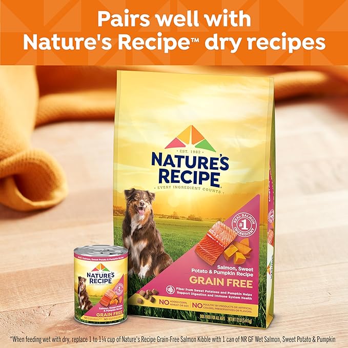 Nature's Recipe Grain Free Salmon, Sweet Potato, and Pumpkin Recipe Wet Dog Food, 13 oz. Can, 12 Count