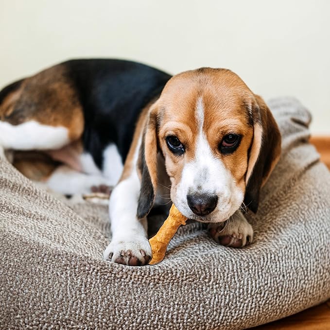 Fieldcrest Farms Nothin' to Hide 3 inch Ultra Knotted Bone Treats - Natural Rawhide Alternative Treats for Dogs, Collagen Based Snack for Heavy Chewers up to 15lbs - Beef Flavor, 12 Pack