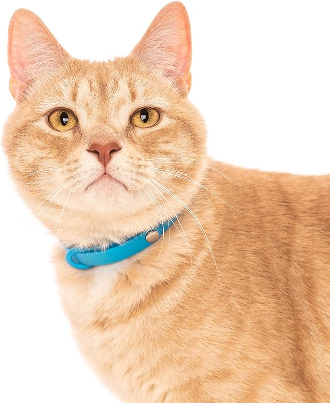 Breakaway Cat Collar - Soft, Comfortable, and Lightweight Safety Buckle Collar with ID Tag Ring for Outdoor Cats and Sensitive Skin Kittens by Nuvuq (6 ⅞" to 10 ¼", Blue)