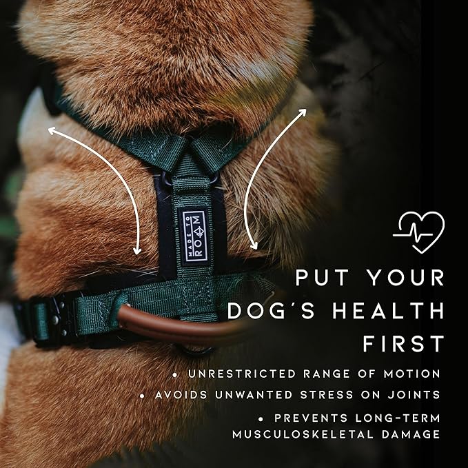 MADE TO ROAM Premium Explorer Harness - Y-Shaped Dog Harness with Adjustable Durable Nylon, Soft Padding, Metal Buckles and Leather Handle for Small, Medium, Large Dogs (California Horizon, Size 7)