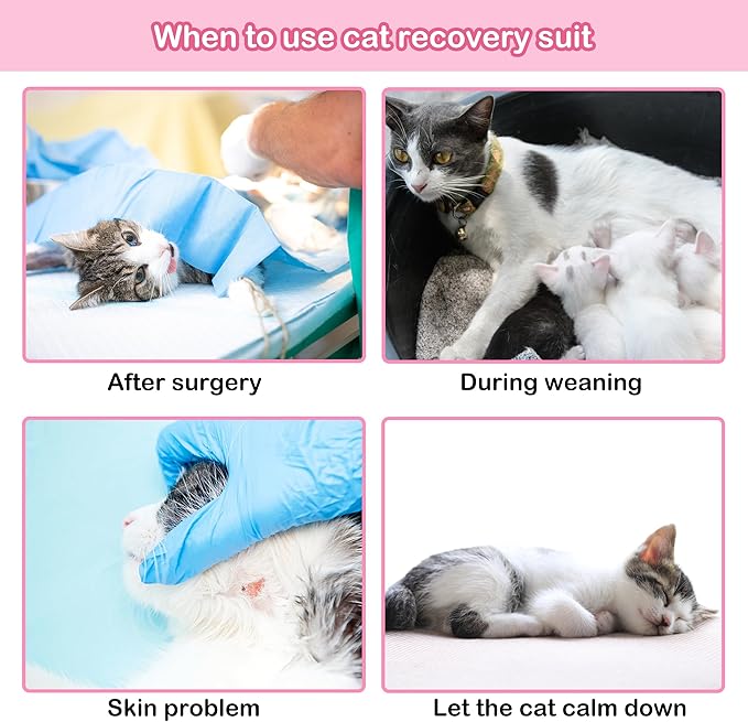 PUMYPOREITY Cat Recovery Suit for Female Surgery, Spay Alternative to Cone of Shame, Surgical Suit for Skin Diseases and Abdominal Wound, Pink, M