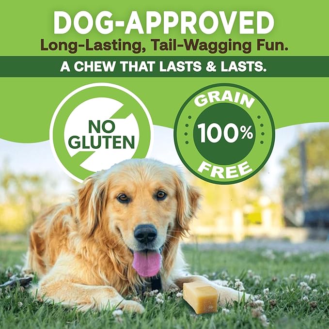 EcoKind Premium Gold Yak Cheese Himalayan Dog Chews, Dog Treats Large Breed, All Natural, High Protein, for Aggressive Chewers, Large - 8+ Chews (2 lbs)