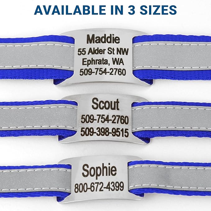 GoTags Reflective Personalized Dog Collar with Nameplate, Adjustable Dog Collar with Custom Engraved Steel Slide On Pet ID Tag, Silent, No Noise Dog Tag for Large Medium or Small (Blue, Large)