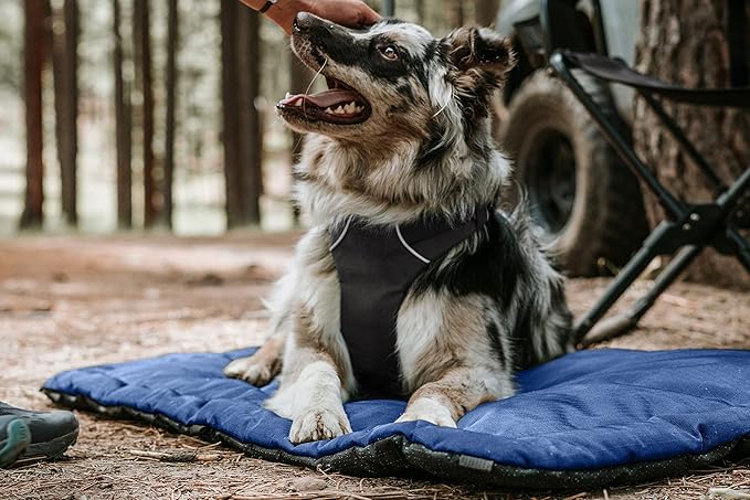K9 Ballistics Tough Ripstop Dog Crate Pad - Durable & Machine Washable with Non-Skid Bottom and 120-Day Warranty, Fits 42" Wire Crates - Large, Light Gray Velvet