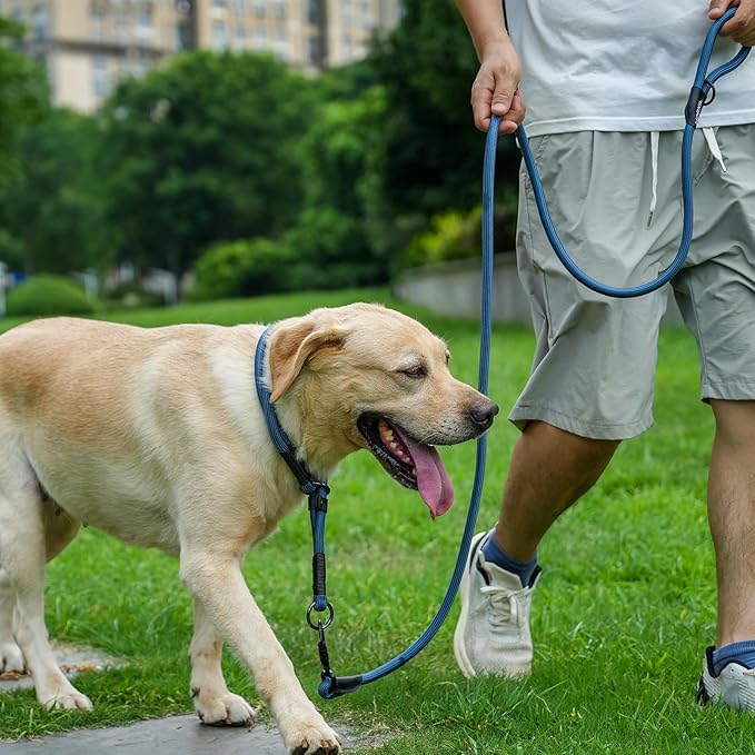 Rope Dog Leash, 6 Foot Heavy Duty Dog Leash with Aviation Aluminum Auto Locking Carabiner, Strong Nylon Pet Lead for Small, Medium, Large Dogs (Blue, 6FT)