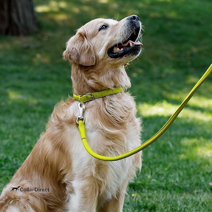 CollarDirect Rolled Leather Dog Collar, Soft Padded Round Puppy Collar, Handmade Genuine Leather Collar Dog Small Large Cat Collars 13 Colors (13-16 Inch, Lime Green Textured)