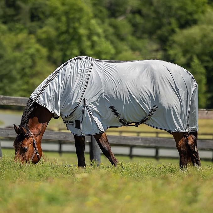 HORZE Warren Soft Adjustable Genuine Leather Horse Halter | Stainless Steel Hardware - Light Brown - Warmblood