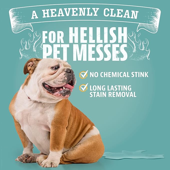 ANGRY ORANGE Pet Stain Remover Kit for Dog Urine - Enzyme Cleaner - Citrus - 32 oz + UV Flashlight