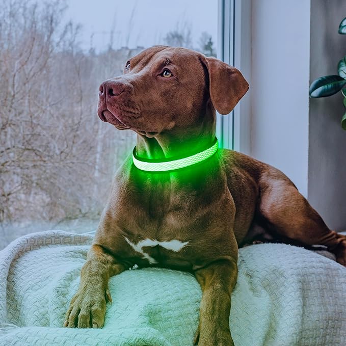 Flashseen LED Dog Collar, Light Up Dog Collar Lights USB Rechargeable, Adjustable Comfortable Soft Mesh Safety Collar for Small, Medium, Large Dogs(Large, Neon Green)