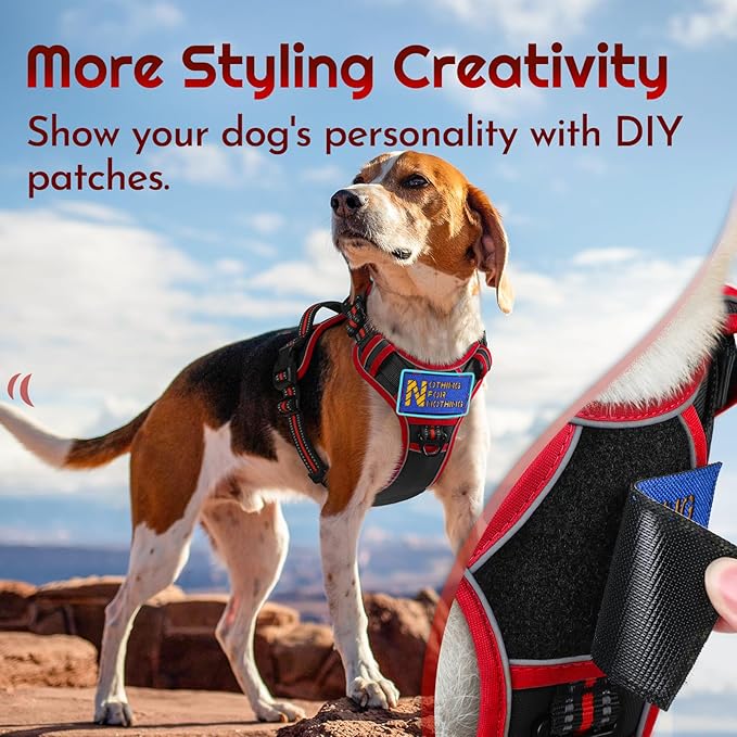 Eagloo Dog Harness Small Sized, Easy Wearing with 3 Buckles, Adjustable No Pull Pet Harness with 2 Rings for Walking, No Chock Reflective Soft Padded Vest with Control Handle, Black & Red, S