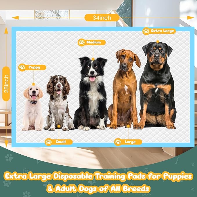 Extra Large Puppy Pads 28" x 34"-30 Count, Super Absorbent Dog Pee Pads Quick Drying Leak-Proof X-Large Dog Training Pads Disposable Training Pads for Dogs Puppies Cats