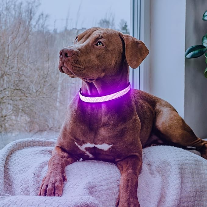 Flashseen LED Dog Collar, USB Rechargeable Light Up Dog Collar Lights, Adjustable Comfortable Soft Mesh Safety Pet Collar for Small, Medium, Large Dogs (Purple, Small)