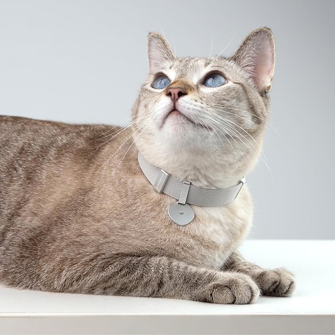 Safety Cat Collar Pro and Tag Set - U.S. IDA Gold Award, Elastic Release Cat Collar Charm Tag, Non Breakaway Cat Collar Adjustable with Charm for Kitten Small Large Cats (Sierra Blue, M)