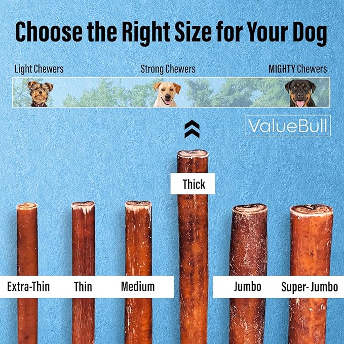 ValueBull Bully Sticks for Dogs, Thick 6 Inch, 100 Count Bulk Pack - All Natural, Grass Fed, Single Ingredient, Long Lasting Dog Treats