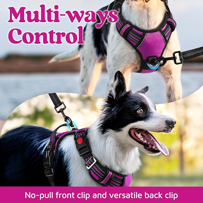 rabbitgoo Dog Harness for Large Dogs, No Pull Pet Vest with 3 Buckles, Adjustable Soft Padded Pet Harness with Easy Control Handle and Reflective Strips, Purple, XL