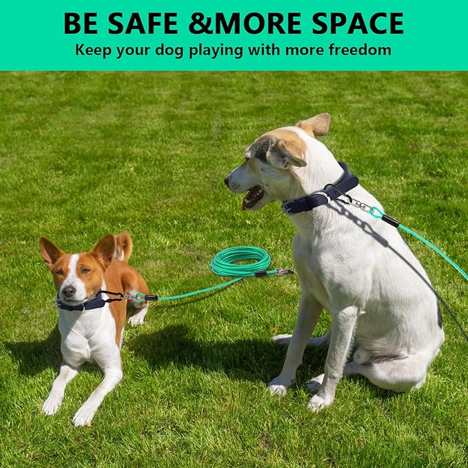 Dog Tie Out Cable 30FT-500Lbs,Heavy Duty Dog Leads Line for Yard with Swivel Hook,Medium Large Dogs Leash&Chains for Outside,Rust Chew Proof Dogs Run Cable for Outdoor Camping (Green Cyan, 30FT)