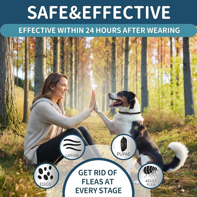 Flea and Tick Collar for Dogs 4 Pack, 32 Months Prevention, Waterproof, Adjustable for Small Medium Large Dogs Puppies (Black)