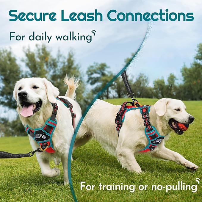 Eagloo Dog Harness Small Sized, Easy Wearing with 3 Buckles, Adjustable No Pull Pet Harness with 2 Rings for Walking, No Chock Reflective Soft Padded Vest with Control Handle, Red & Teal, S