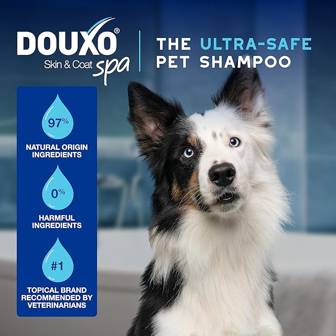 DOUXO® Skin & Coat SPA - Ultra-Safe Quick Refresh Leave-on Mousse for Dogs, 10 fl oz, Safely Cleans and Refreshes, Leaves The Coat Soft, Radiant and Smelling Great, Skin-Friendly Formula