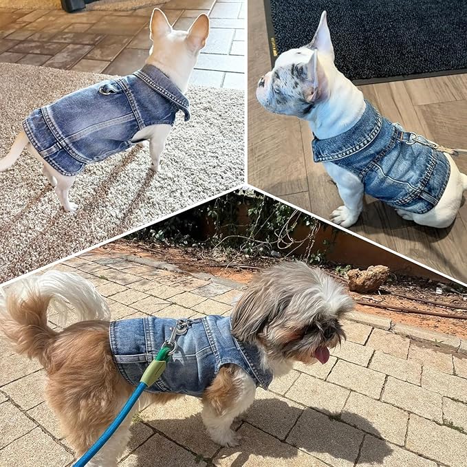 Puppy Clothes for Small Dogs Boy,Classic Western Denim Dog Coat,Dog Jeans Jacket with Leash D-Ring,Pet Cat Costumes,Cooling Harness Vest for Walking (Blue, Small)