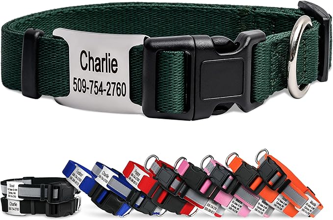 GoTags Personalized Dog Collar with Nameplate, Adjustable Dog Collar with Custom Engraved Slide On Pet ID Tag in Stainless Steel, Silent, No Noise Dog Tag (Hunter Green, Small)