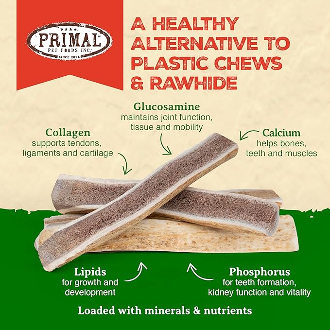 Primal Antlers for Dogs, Grade A Split Elk Antlers for Medium Canines 15-30 lb, Natural Chews for Aggressive Chewers, Naturally Shed, Long Lasting Dog Bones, 1 ct