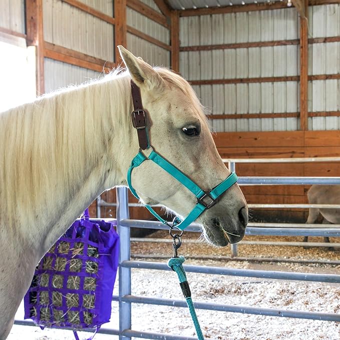 Majestic Ally Leather Halter with Matching Lead Rope for Horses – Leather Breakaway Crown - Adjustable Chin Strap – Rolled Throat Latch – Padded Noseband – Full (Purple, Full)