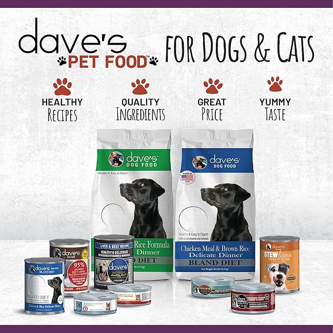 Dave's Pet Food Grain Free Wet Cat Food Pate (Chicken Formula), Made in USA Naturally Healthy Canned, Added Vitamins & Minerals, 5.5 oz Cans (24 Pack)