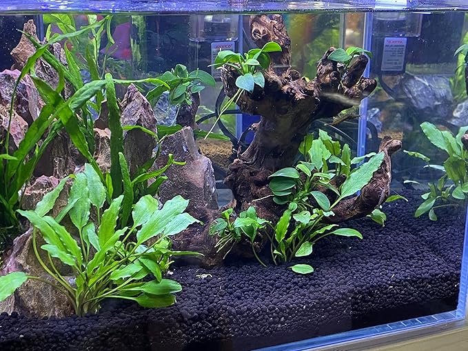 LANDEN Aqua Soil Substrate for Natural Planted Aquarium, Plant or Shrimp Stratum, Clay Gravel and Stable Porous Substrate for Freshwater Aquarium, Black Color (20 lbs)