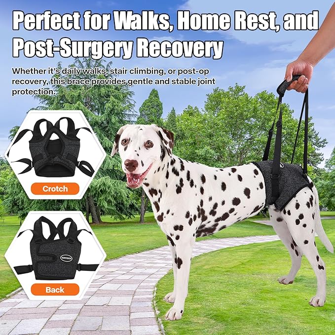 Dog Sling for Medium Large Dog Rear Leg, Lift Harness Provide Support with Muscle Atrophy and Joint Problems for Elderly Injured Arthritic Pet, Dog Weak Rear Legs Provides Rehabilitation Aid