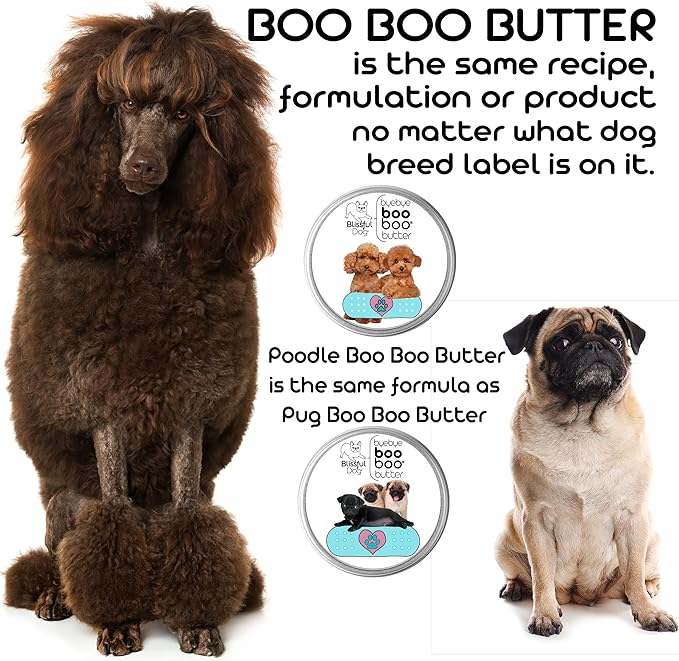 The Blissful Dog Coton De Tulear Boo Boo Butter, 16 oz.