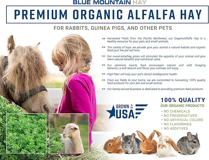 Blue Mountain Hay High-Altitude Hay - Organic Alfalfa, 5lb - High Protein, Fiber & Mineral-Rich - Soft, Leafy, High Leaf Retention - Ideal for Goats, Rabbits, Guinea Pigs & Other Small Animals