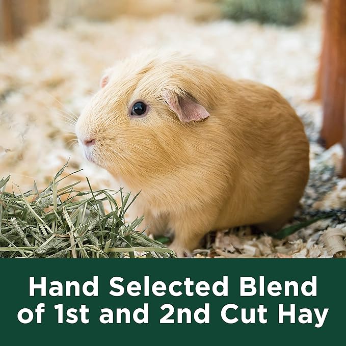 Kaytee All Natural Timothy Hay Plus Cranberries For Guinea Pigs, Rabbits & Other Small Animals, 24 Ounce